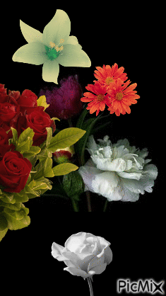 Efecto floral - Безплатен анимиран GIF
