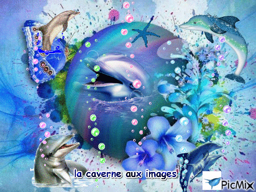 amour de dauphins - GIF animé gratuit