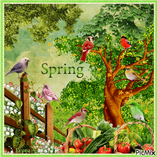 Ls oiseaux au printemps - Бесплатный анимированный гифка