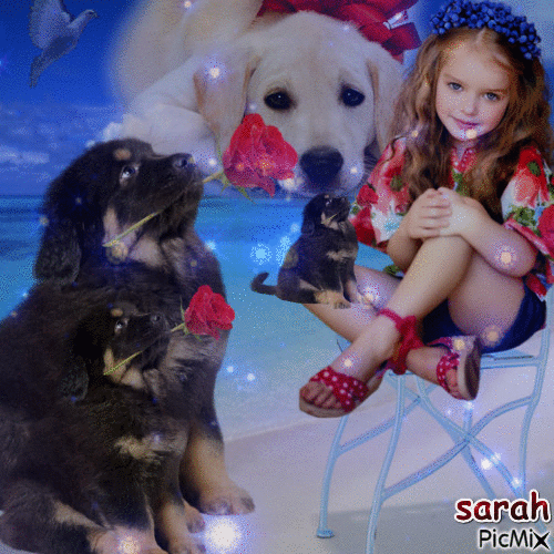 sarah love - GIF animasi gratis