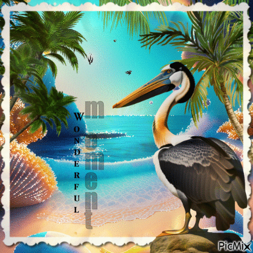 Der Pelikan - Besplatni animirani GIF