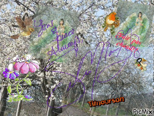essai en flou  (fond arbres fleuris - Zdarma animovaný GIF