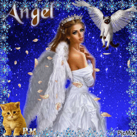 ANGEL WHIT CATS - GIF animé gratuit