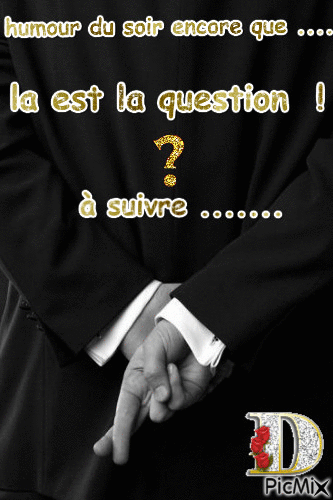 la est la question ! - Zdarma animovaný GIF