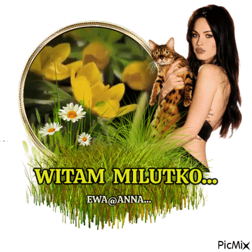 witam - Безплатен анимиран GIF