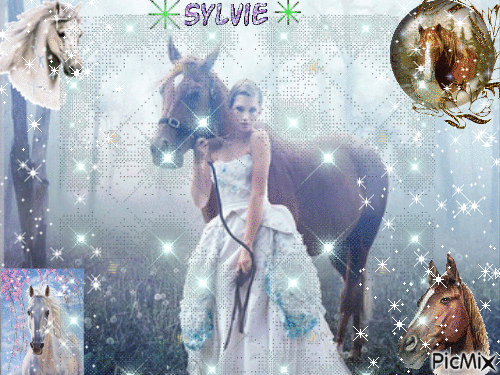 passion cheval  ma création a partager  sylvie - 免费动画 GIF