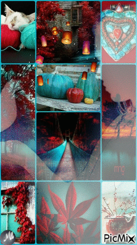 Collage - 免费动画 GIF