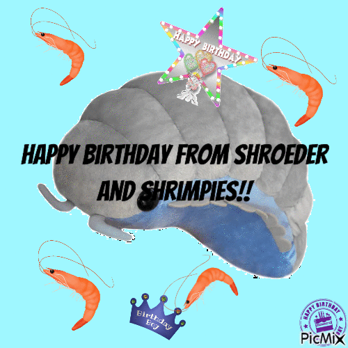 Shroeder and Shrimpies Birthday - GIF เคลื่อนไหวฟรี