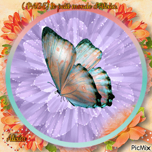 joli papillon multicolor - Бесплатни анимирани ГИФ