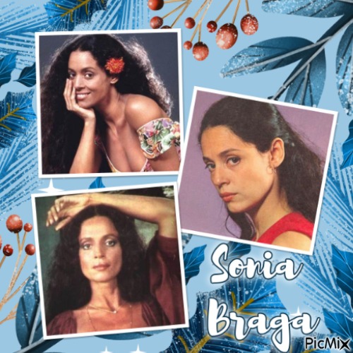 Sonia Braga. - besplatni png