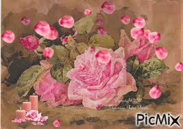 Roses and Roses and Roses - GIF animé gratuit