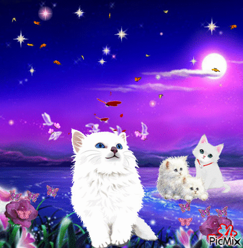 Concours "Chats blancs - White cats" - Free animated GIF