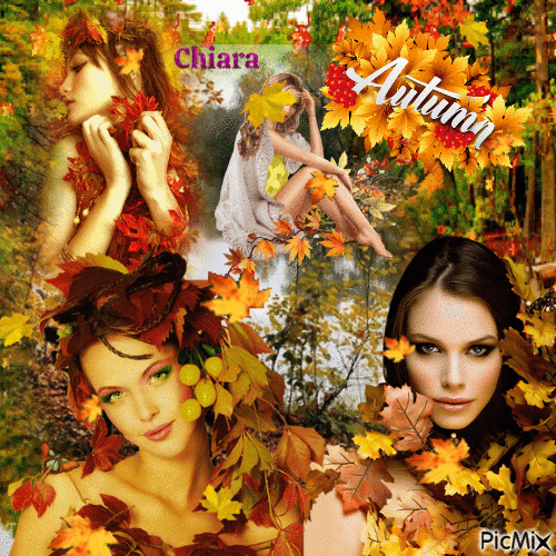 magie d'autunno 2 - Free animated GIF