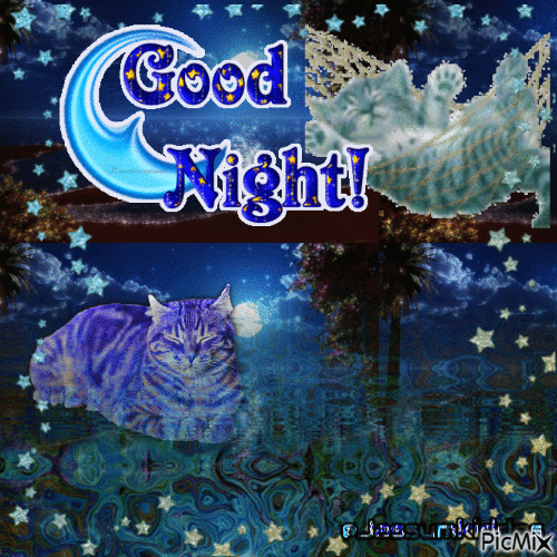 good night kitty - 無料のアニメーション GIF