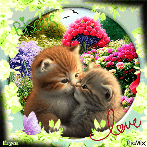 Chatons love - bisous - Free animated GIF
