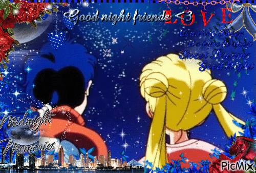 seiusa goodnight - 無料のアニメーション GIF