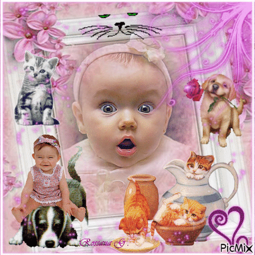 A baby, dogs and cats - GIF animate gratis