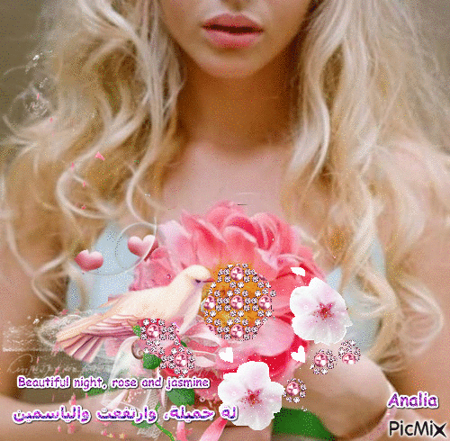 ليلة جميلة، وارتفعت والياسمين**Beautiful night, rose and jasmine - Ücretsiz animasyonlu GIF