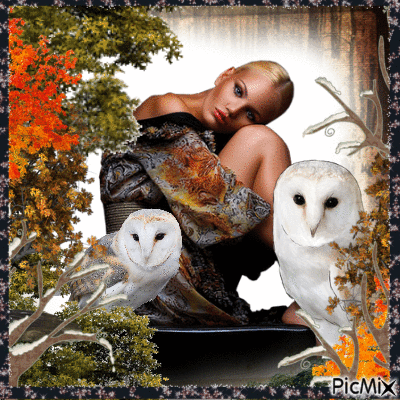 beautiful lady and owl - Besplatni animirani GIF