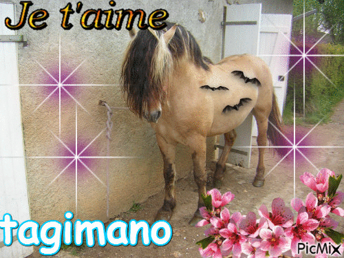 tagimano - GIF animé gratuit