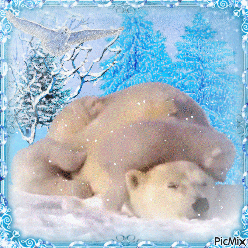 Polar Bears - GIF animate gratis
