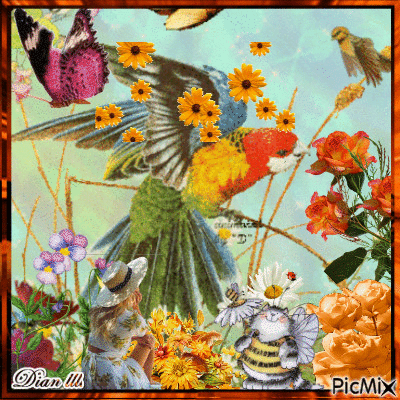 Butterflies & Flowers.. - GIF animé gratuit