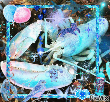 Lobster - Gratis geanimeerde GIF