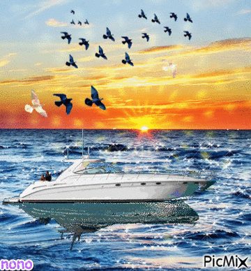 Un bateaux avec des oiseaux - Gratis animerad GIF