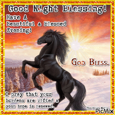 The Horse Mafia - Good Night Blessing - 免费动画 GIF