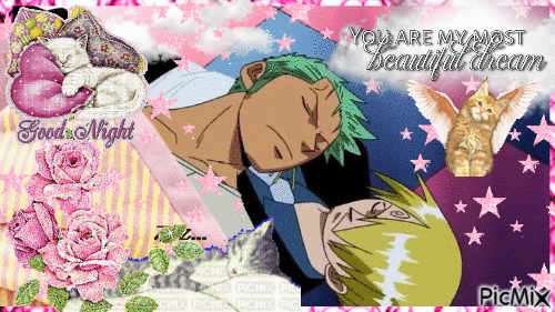 one piece gays snoozing - Free animated GIF