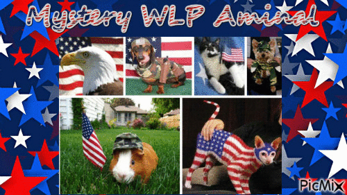 Patriotic WLP mystery animal - Gratis animerad GIF