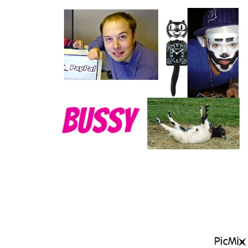 bussy - Free PNG