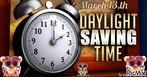 daylight savings time owl - Бесплатный анимированный гифка