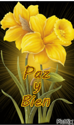 Paz y Bien - Бесплатный анимированный гифка