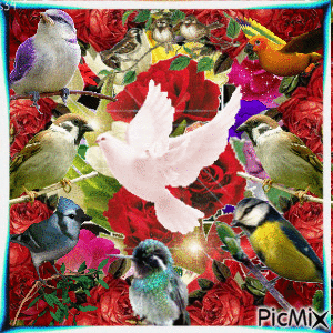 PRETTY RED ROSES FRAMES OTHER ROSES AND FLASHING LIGHTS. PLUS8 PRETTY BIRDS, JUST HANGING OUT. - GIF เคลื่อนไหวฟรี