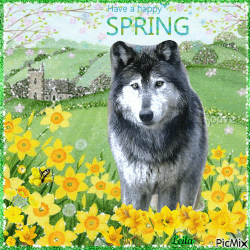 Have a Happy Spring. Dog - GIF animado grátis