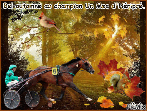 Le champion Un Mec d'Héripré. - Δωρεάν κινούμενο GIF