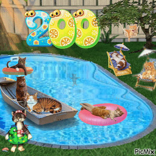 200th picmix pool party - Gratis animeret GIF
