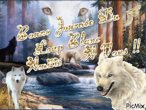 Bonne journée a vous du Loup blanc - Darmowy animowany GIF
