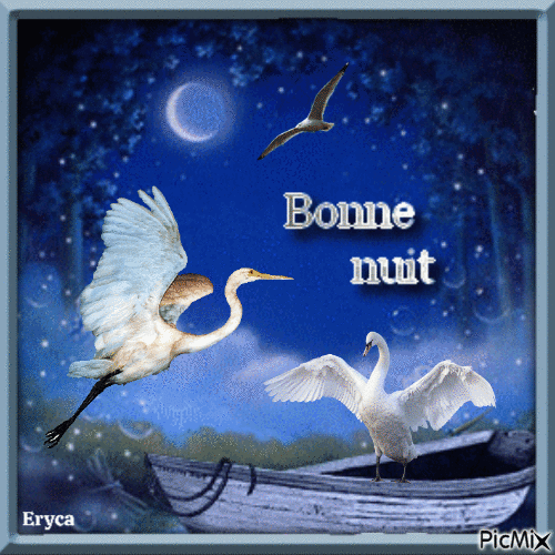 Bonne nuit ! - Zdarma animovaný GIF