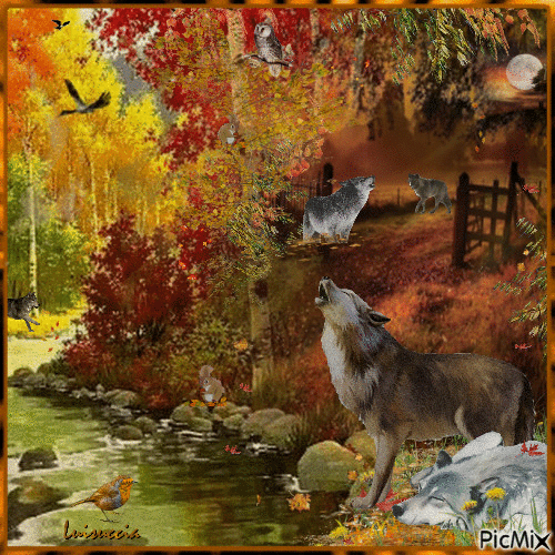 LUPI IN AUTUNNO - Free animated GIF