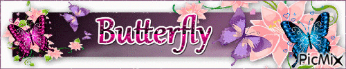 buuterfly - GIF animado grátis