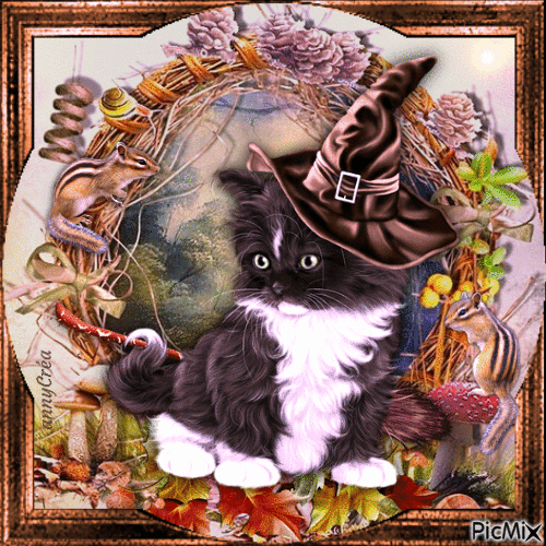 Autumn cat - GIF animado grátis