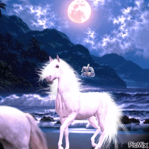 Horse in moon light - Free animated GIF