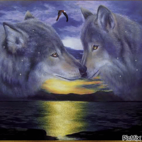 Wolves - Free animated GIF