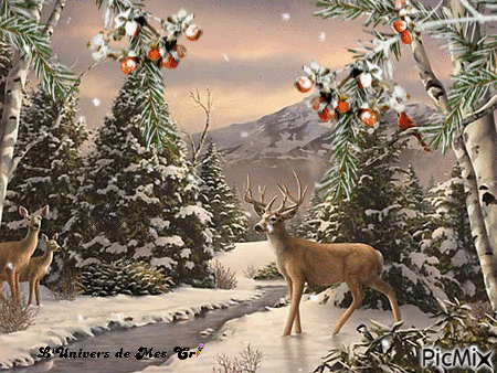 paysage hiver - Zdarma animovaný GIF