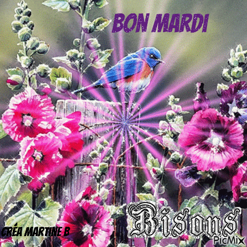 bon Mardi - 無料のアニメーション GIF