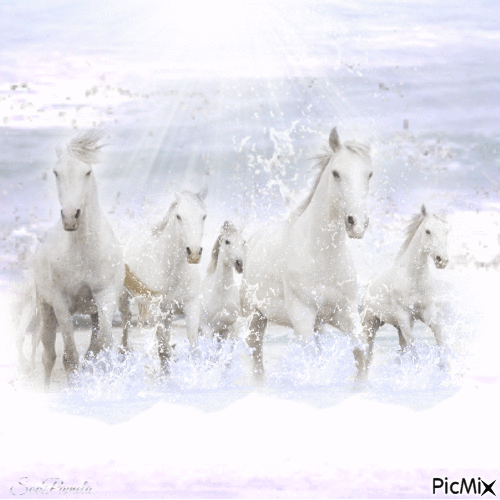 Horses in the sea - 無料のアニメーション GIF