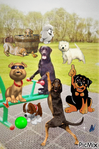 Hunde - Ingyenes animált GIF