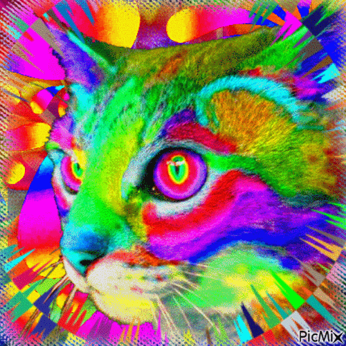 Rainbow Cat - Безплатен анимиран GIF